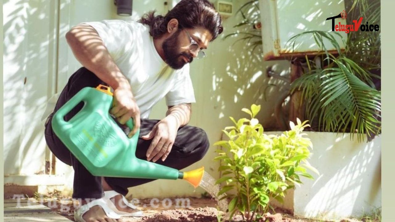 Allu Arjun celebrates World Environment Day by planting seedlings. teluguvoice