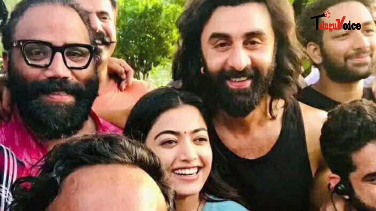 Rashmika Mandanna has completed her shot for Ranbir Kapoor's Animal: The Last Supper. Shares a thought! teluguvoice