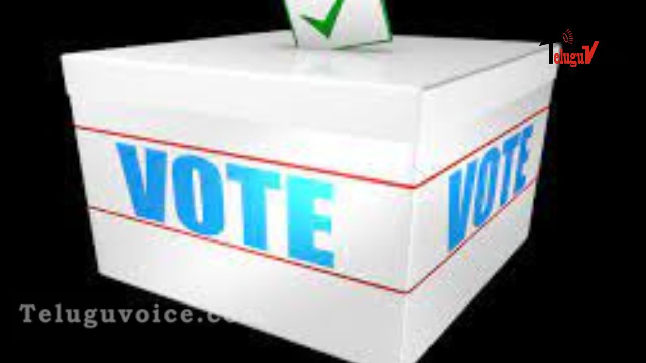 CEC Cracks Down on Fake Votes in Andhra Pradesh teluguvoice