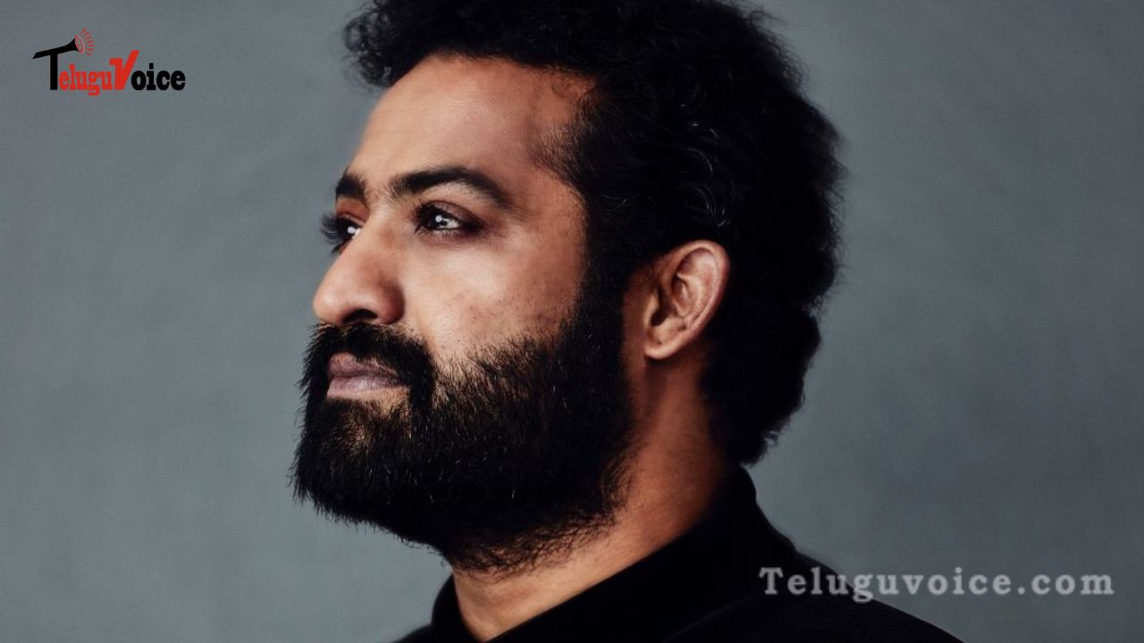 Jr. NTR playing a Negative Role in Bollywood? teluguvoice