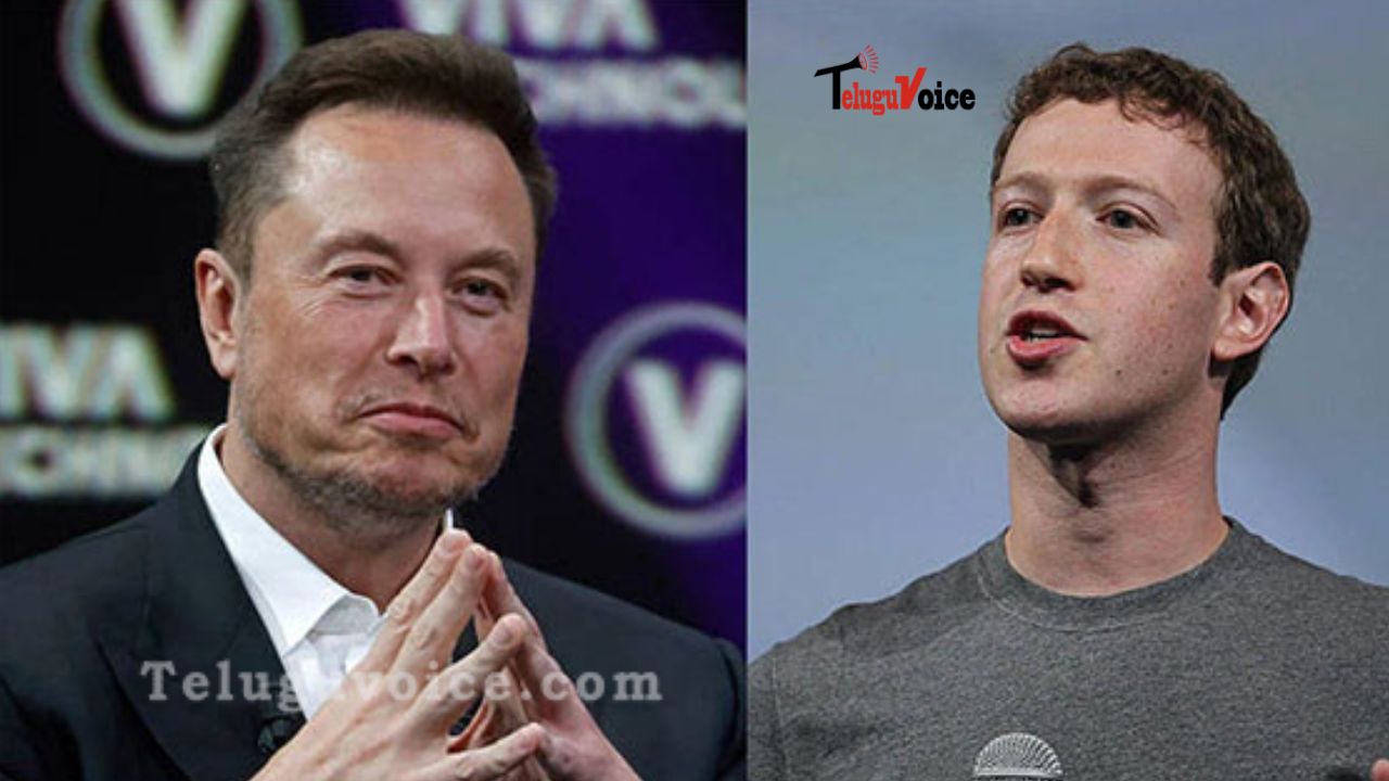 Italy may host Musk-Zuckerberg cage fight? teluguvoice