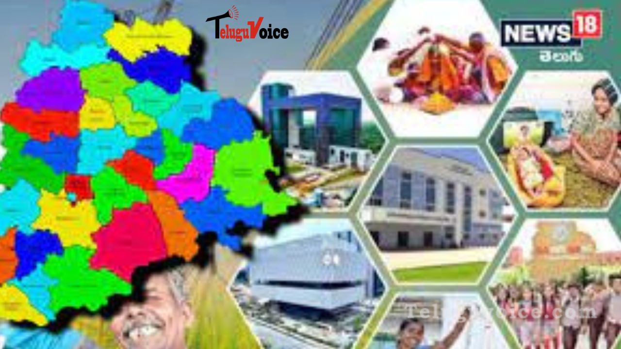 Telangana's person, highest earning, biggest economic contributor teluguvoice