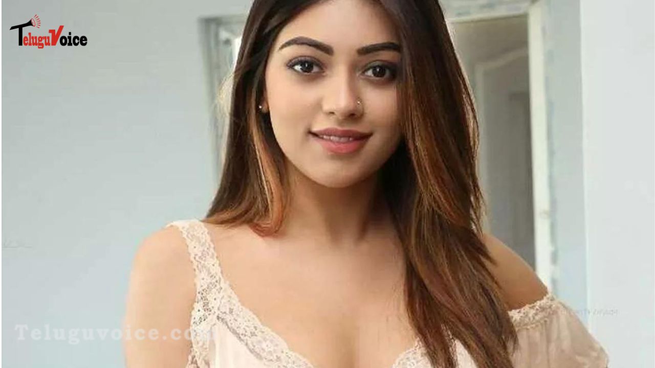 Sensational remarks by Anu Emmanuel on the casting couch teluguvoice