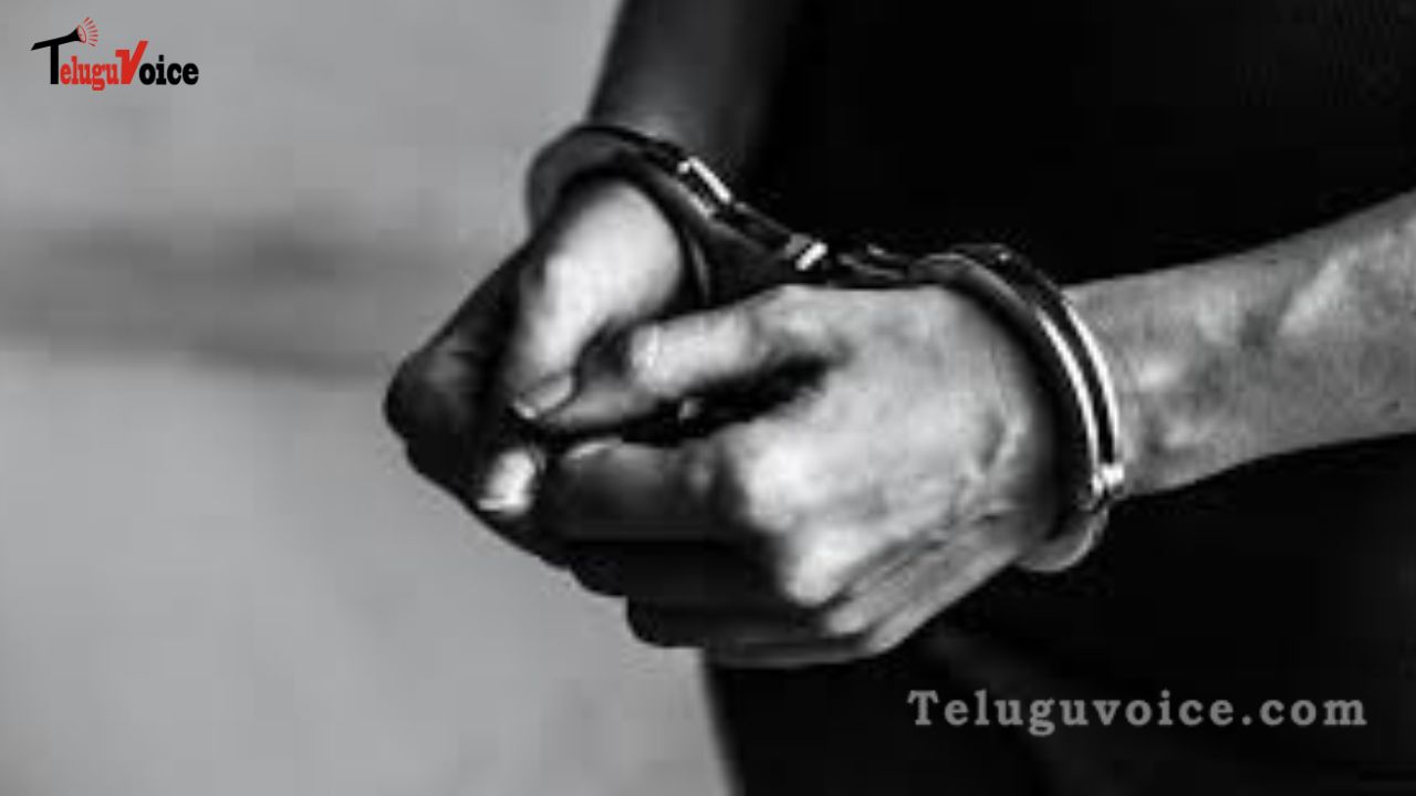 Criminal gang terrorising Indian, Asian diamond retailers in 4 US states caught. teluguvoice