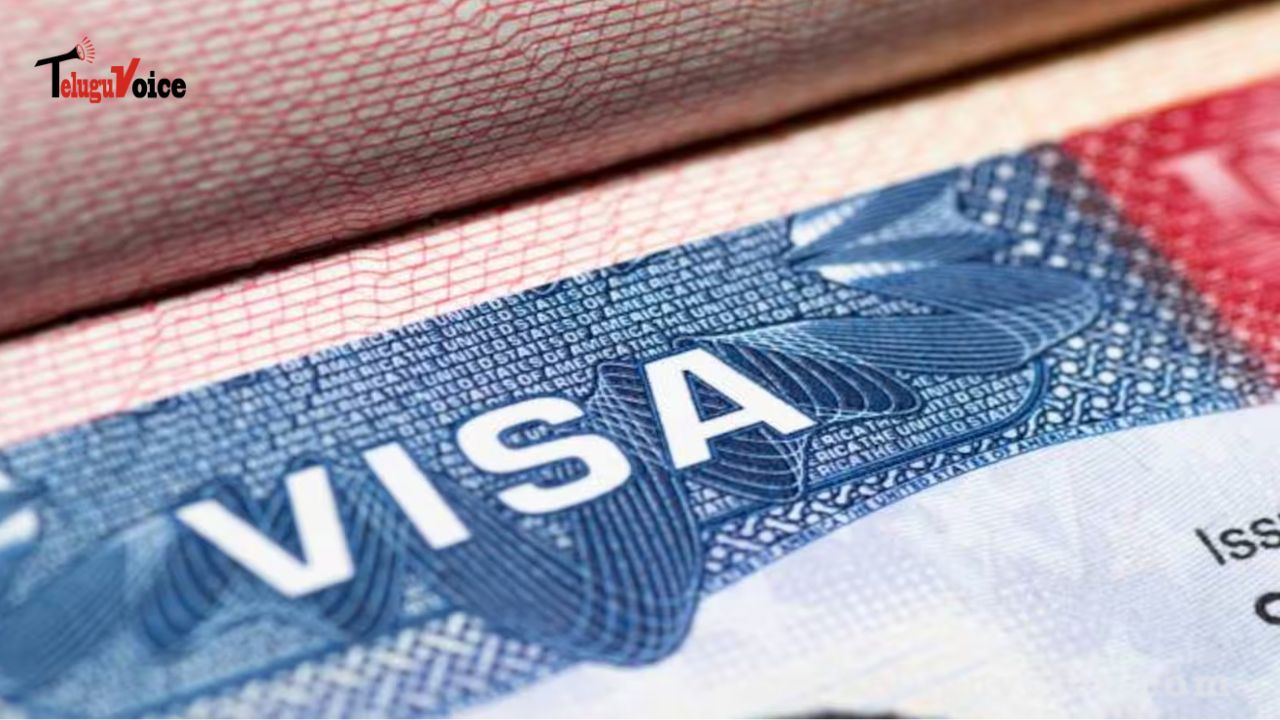 Indians now constitute over 10% of US visa applicants teluguvoice