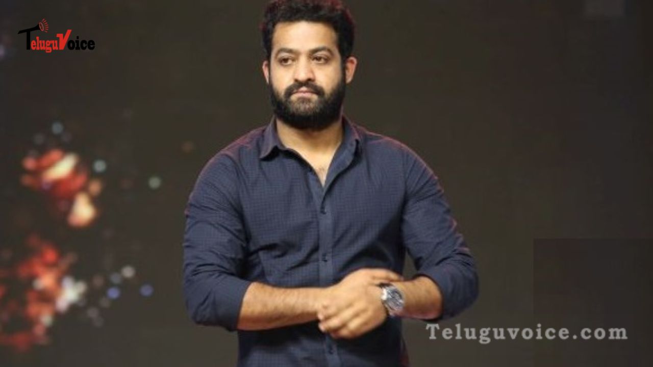 The Real 'Tiger 3' by Jr. NTR Casting Calls teluguvoice