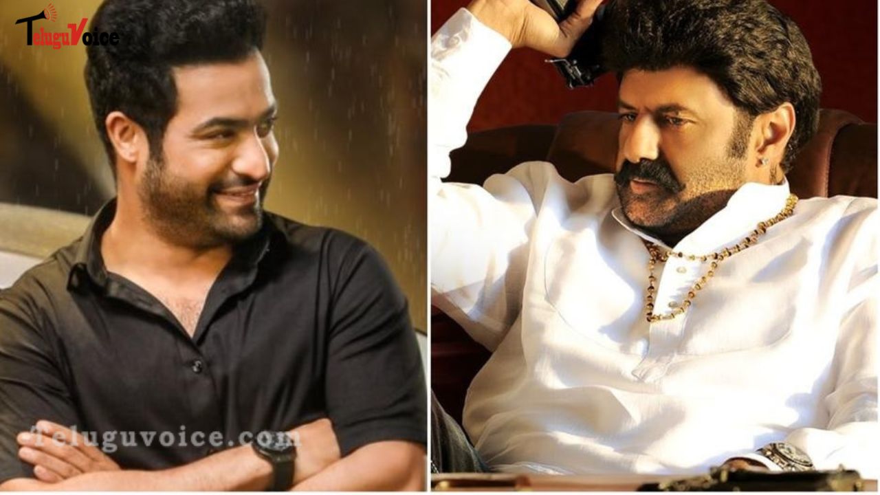 Balayya claims he doesn't care that Jr NTR is mute on CBN. teluguvoice