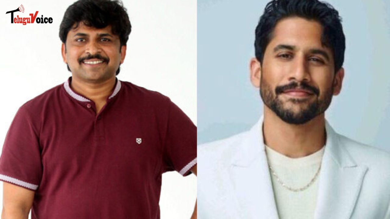 Shiva Nirvana is locked by Naga Chaitanya. teluguvoice