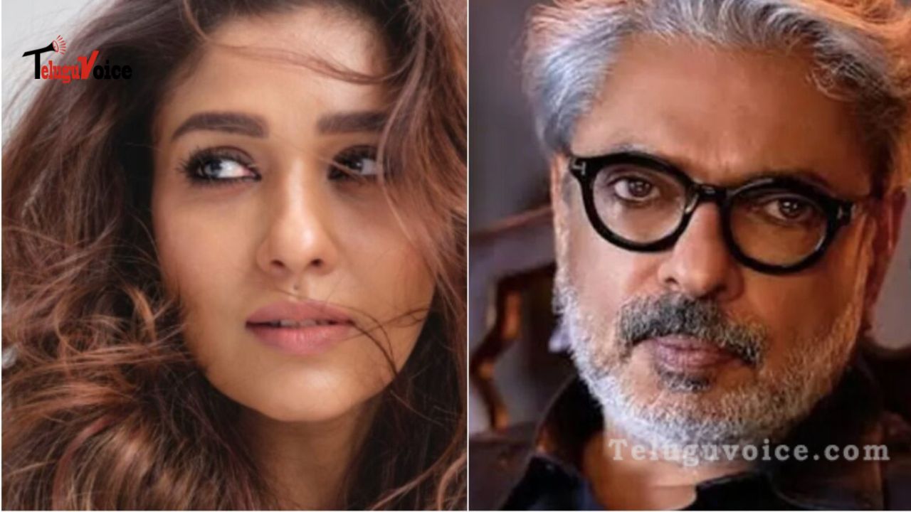 Buzz: Sanjay Leela Bhansali's Offer to Nayanthara teluguvoice