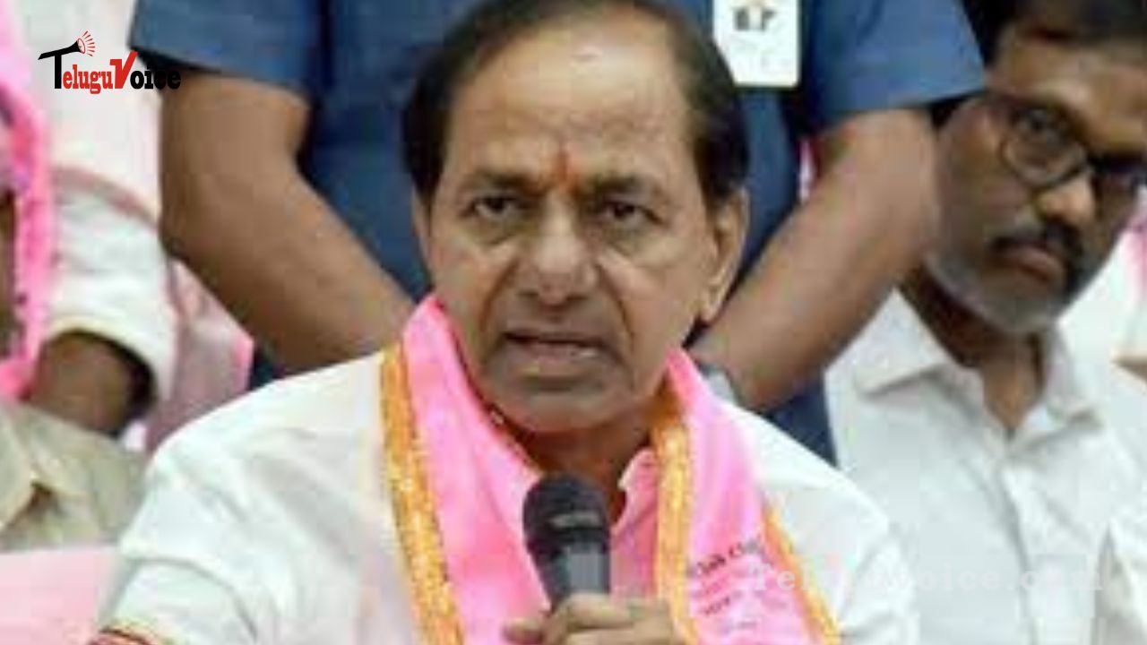 KCR applies a pitch to his nephew and son teluguvoice