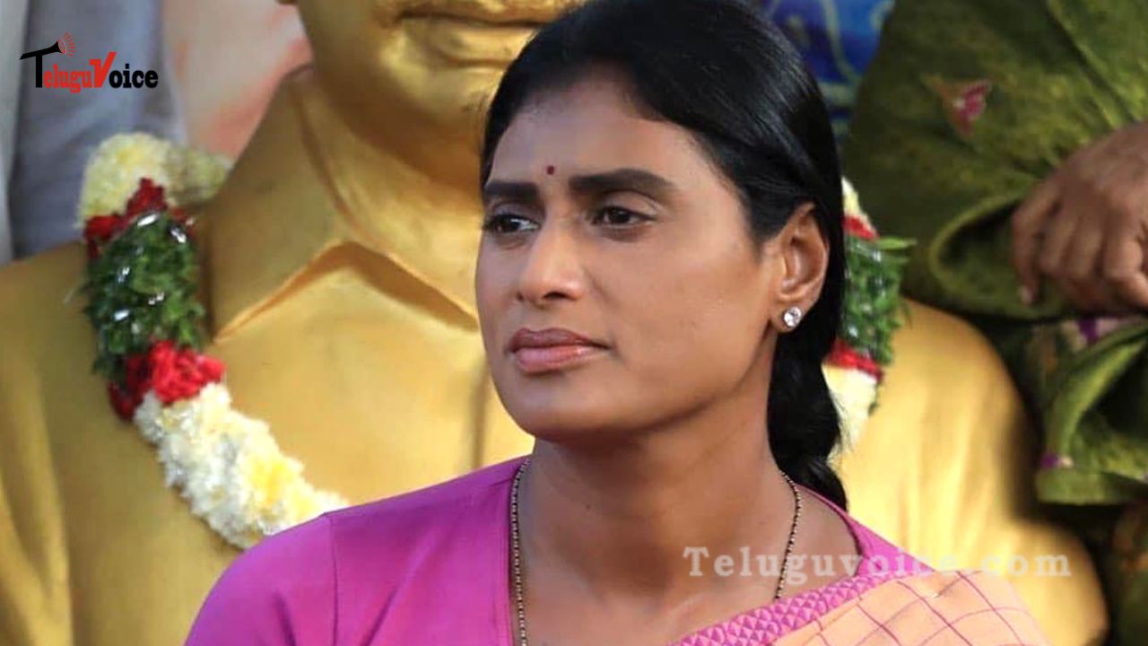 Why Does Sharmila Not Make Any Candidate Announcements? teluguvoice