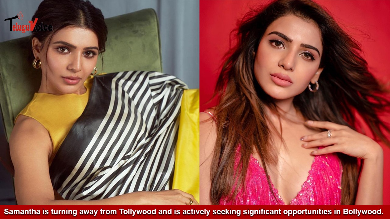 Samantha is turning away from Tollywood and is actively seeking significant opportunities in Bollywood. teluguvoice