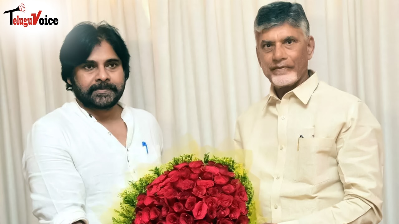 Chandrababu and Pawan Kalyan to Discuss Election Concerns with Election Commission teluguvoice