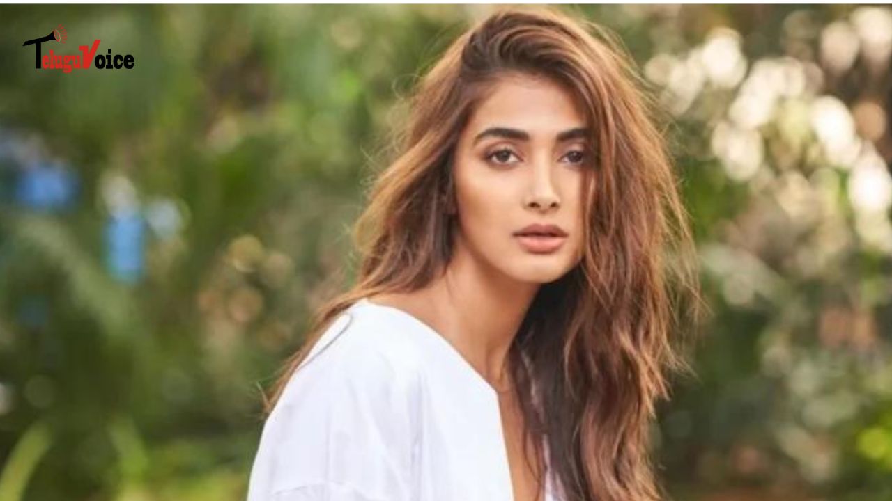 Pooja Hegde to Star Opposite Bollywood Newcomer: teluguvoice