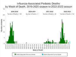 CDC Reports Over 100 Flu-Associated Pediatric Deaths in Current US Season teluguvoice