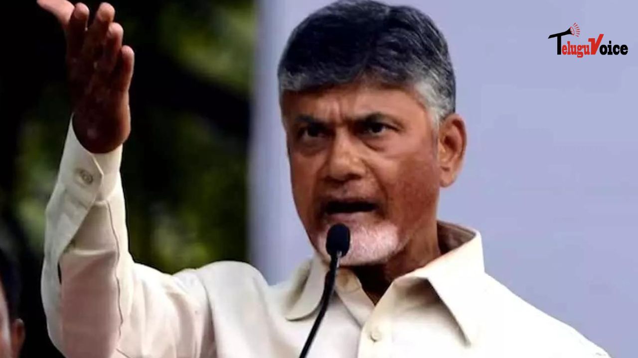 Chandrababu Naidu Promises Revitalization and Support in Praja Galam Rally teluguvoice