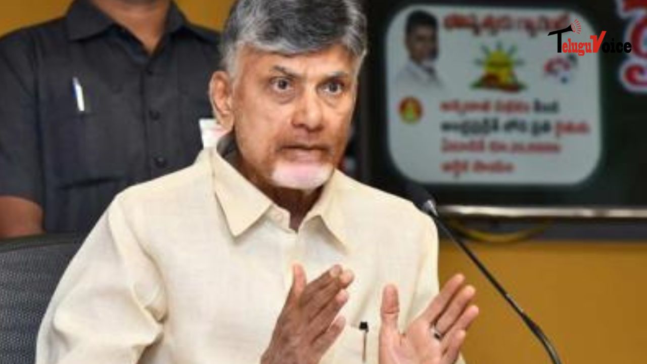 Naidu Vows to Double Remuneration for Volunteers, Slams YSRCP's Alleged Corrupt Practices teluguvoice