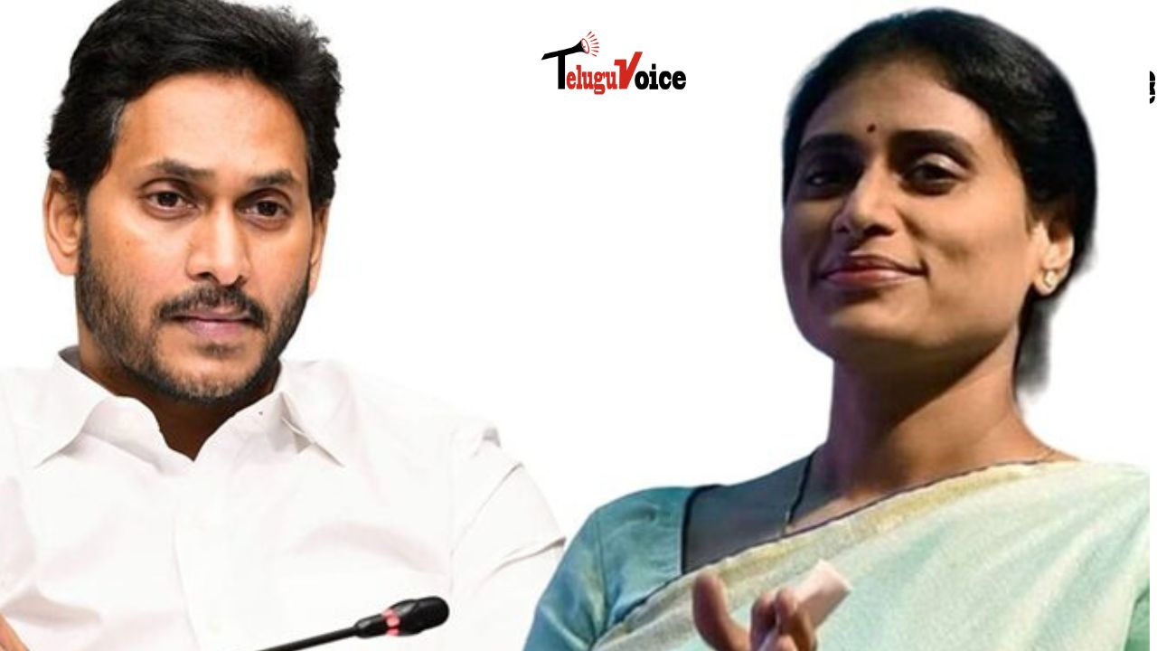 Sharmila Reacts to Jagan's Injury: Calls for Condemnation of Violence teluguvoice