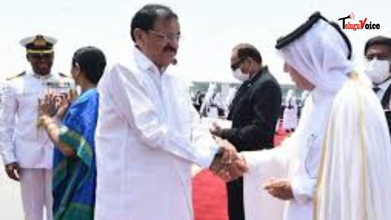 Naidu Returns from Foreign Tour, Greeted by Enthusiastic Supporters teluguvoice