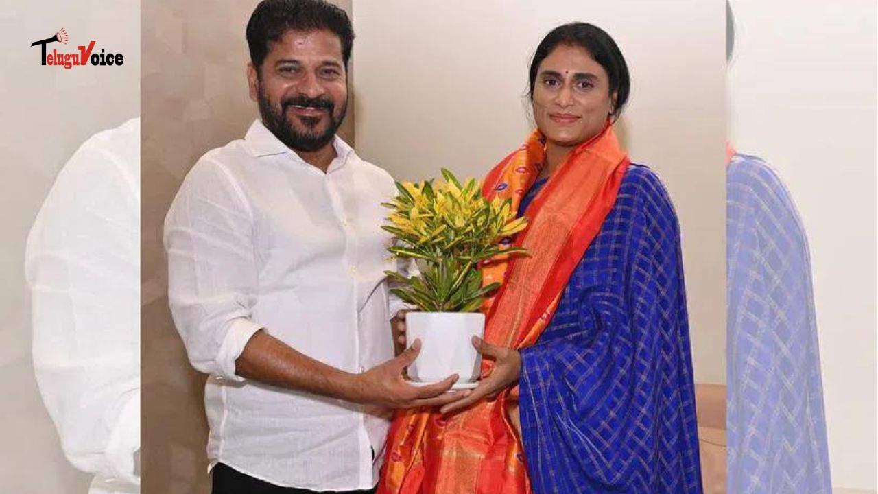 In Hyderabad, Sharmila meets Revanth Reddy and other Congress Ministers. teluguvoice