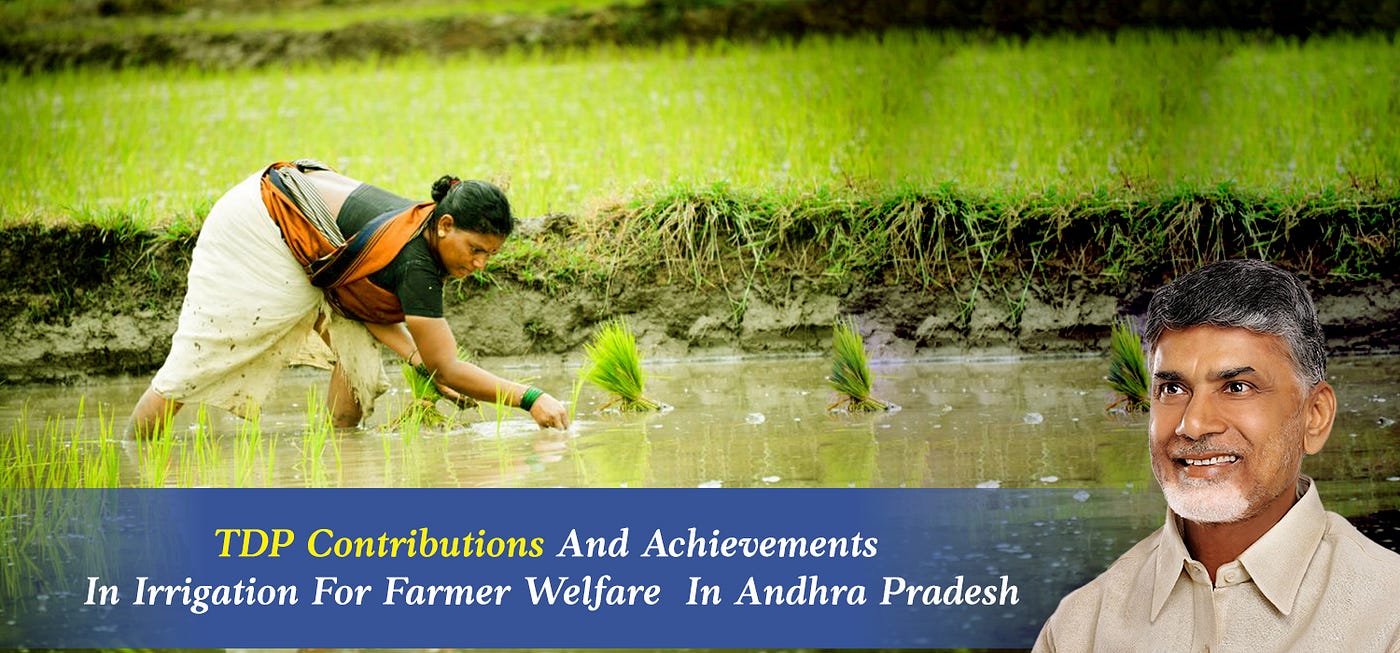 Andhra Pradesh Government Prioritizes Farmer Support and Irrigation Improvements teluguvoice