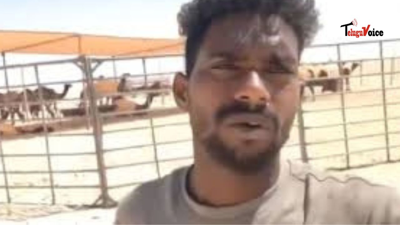 Andhra Man Stranded in Saudi Desert After Job Scam; Minister Nara Lokesh Steps In to Help teluguvoice