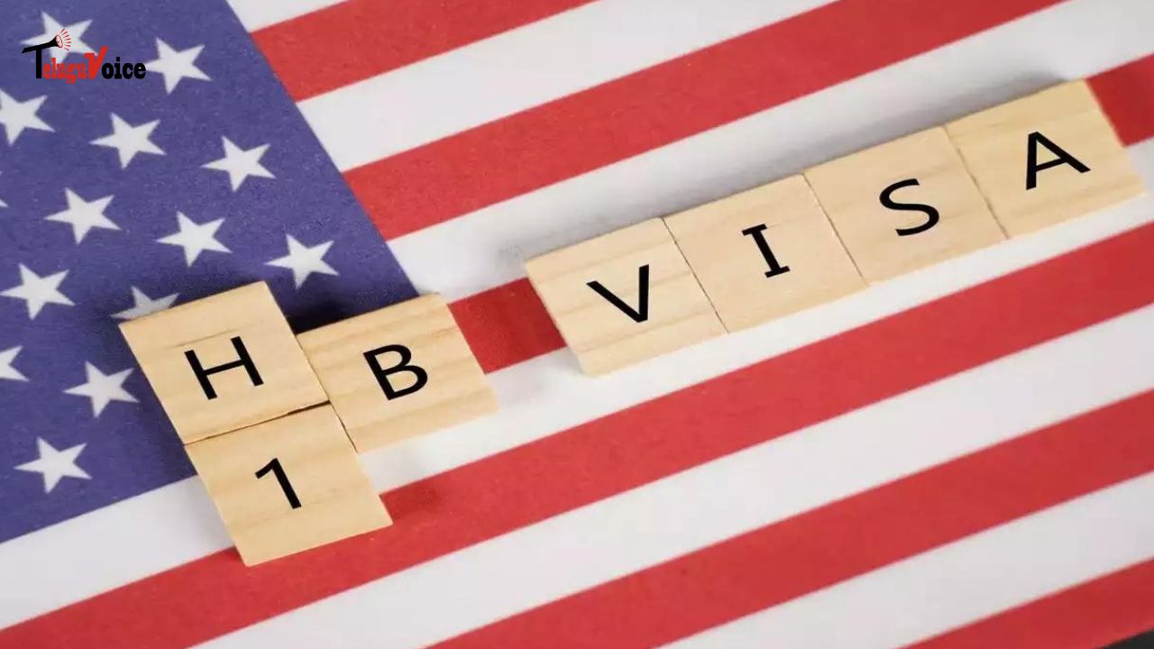 Report Uncovers Exploitation of H-1B Visa Lottery by Outsourcing Firms teluguvoice