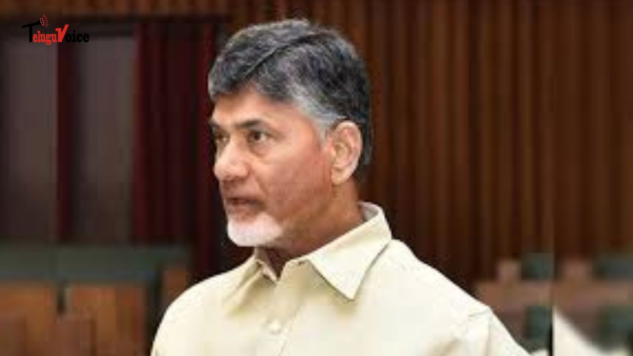 CM Naidu Discusses Strategic Partnership with YouTube and Google Leaders! teluguvoice