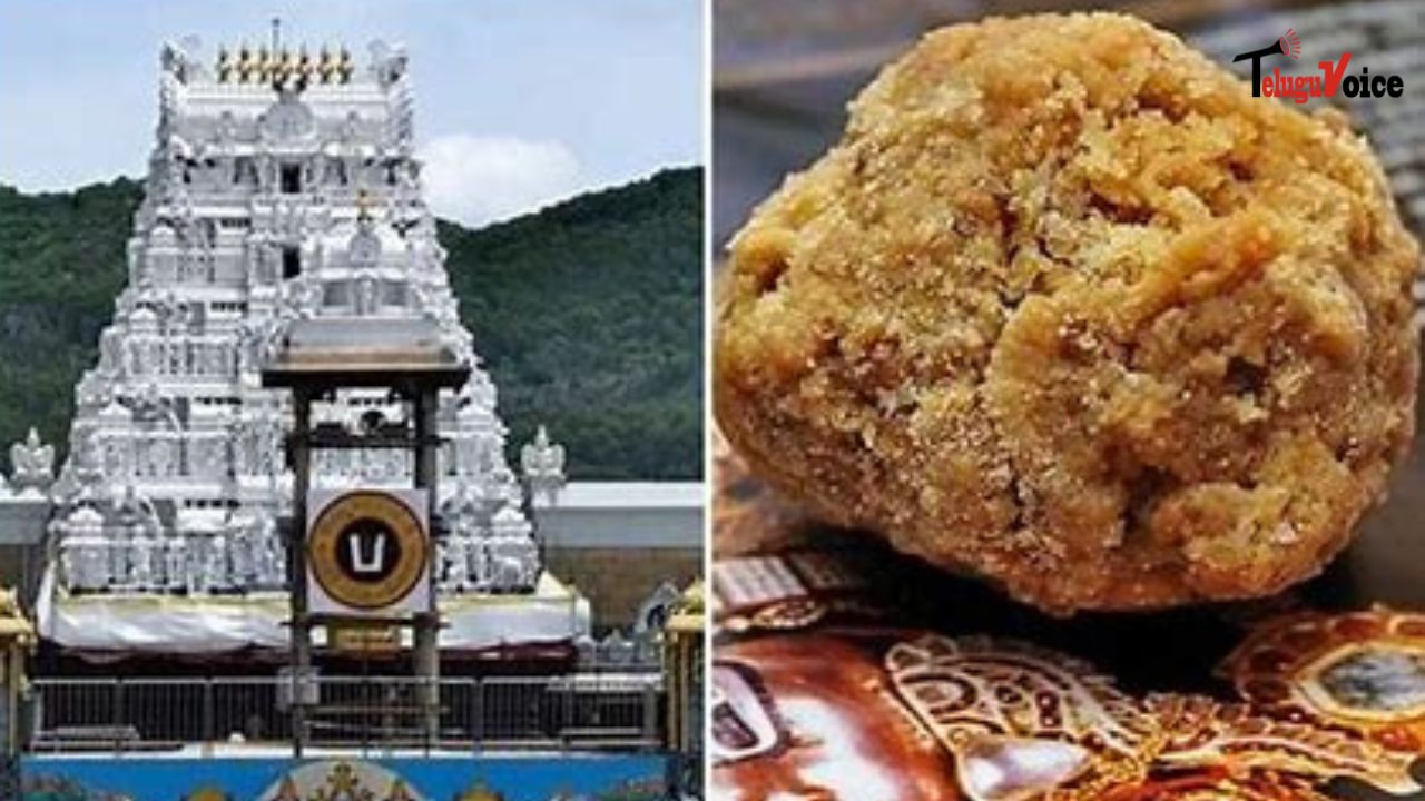 Controversy Erupts Over Allegations of Animal Fat in Tirumala Laddoo teluguvoice