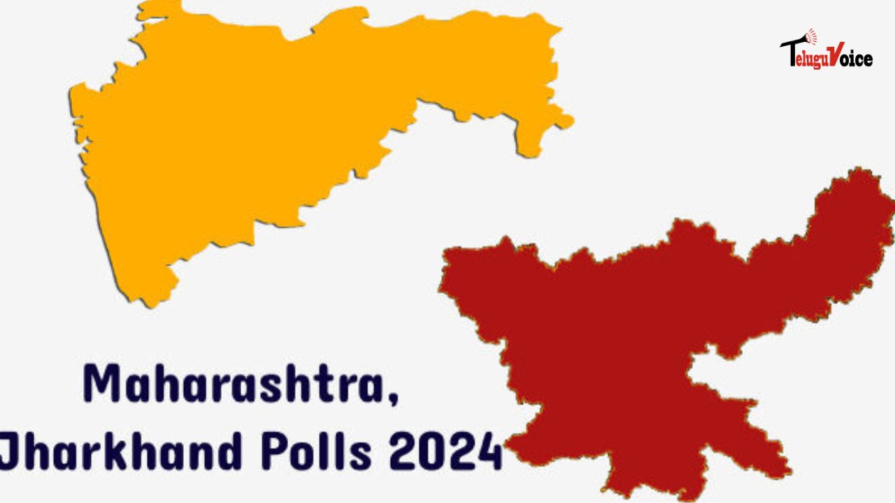 Elections: Who is Winning Maharashtra and Jharkhand teluguvoice