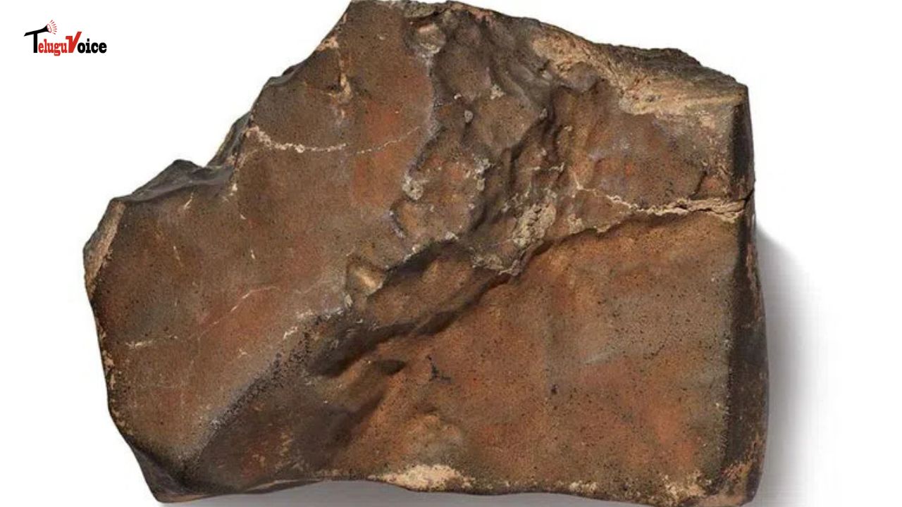 Largest Piece of Mars on Earth to Be Auctioned by Sotheby’s teluguvoice