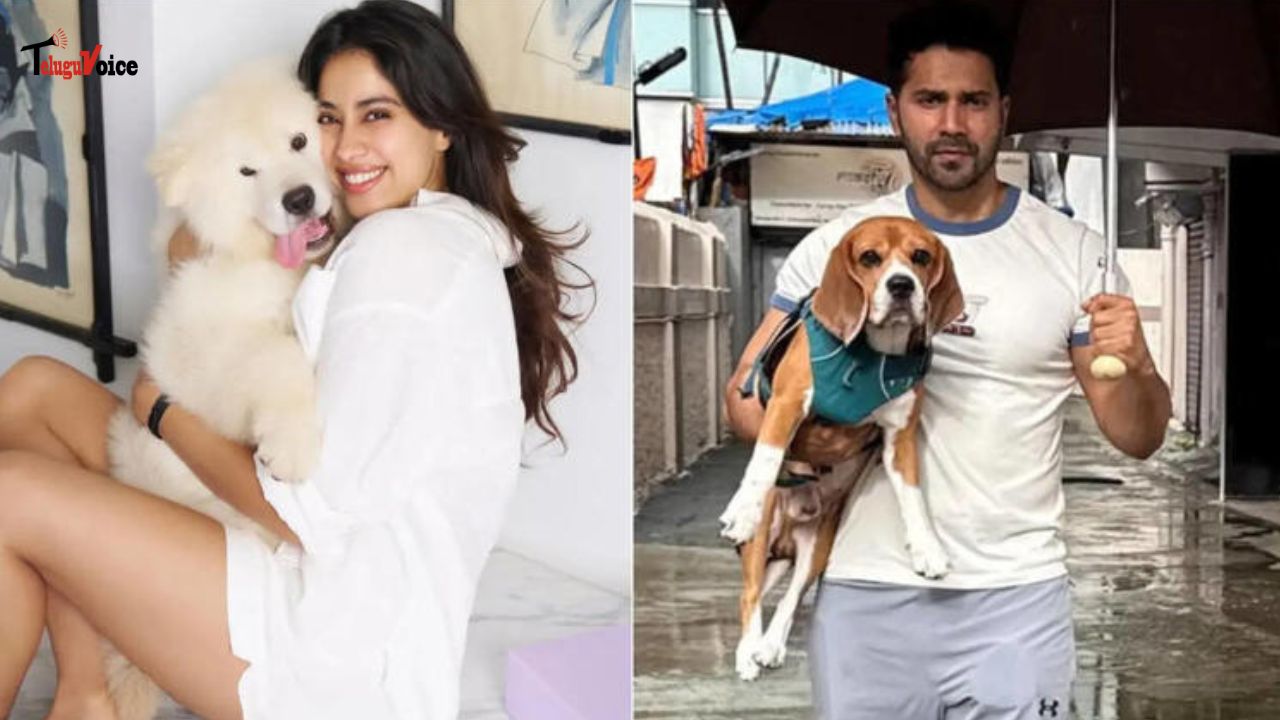 Janhvi Kapoor, Varun Dhawan Oppose Supreme Court Order on Stray Dogs in Delhi-NCR