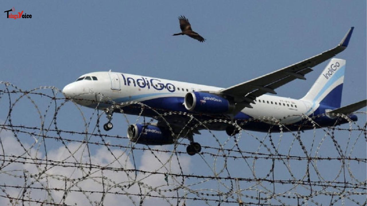 IndiGo Mumbai–Dehradun Flight Damaged in Bird Strike — All 186 Safe  teluguvoice