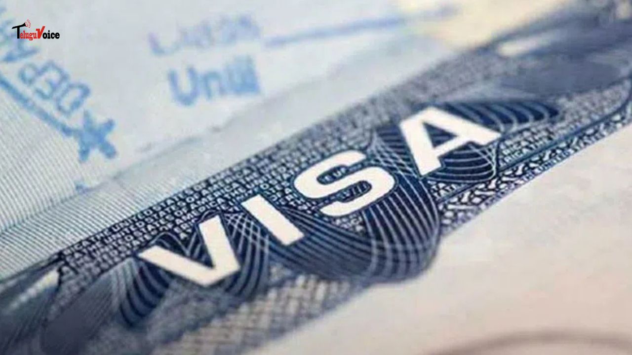 H-1B Visa Applicants See Approvals After Rigorous Social Media Vetting teluguvoice